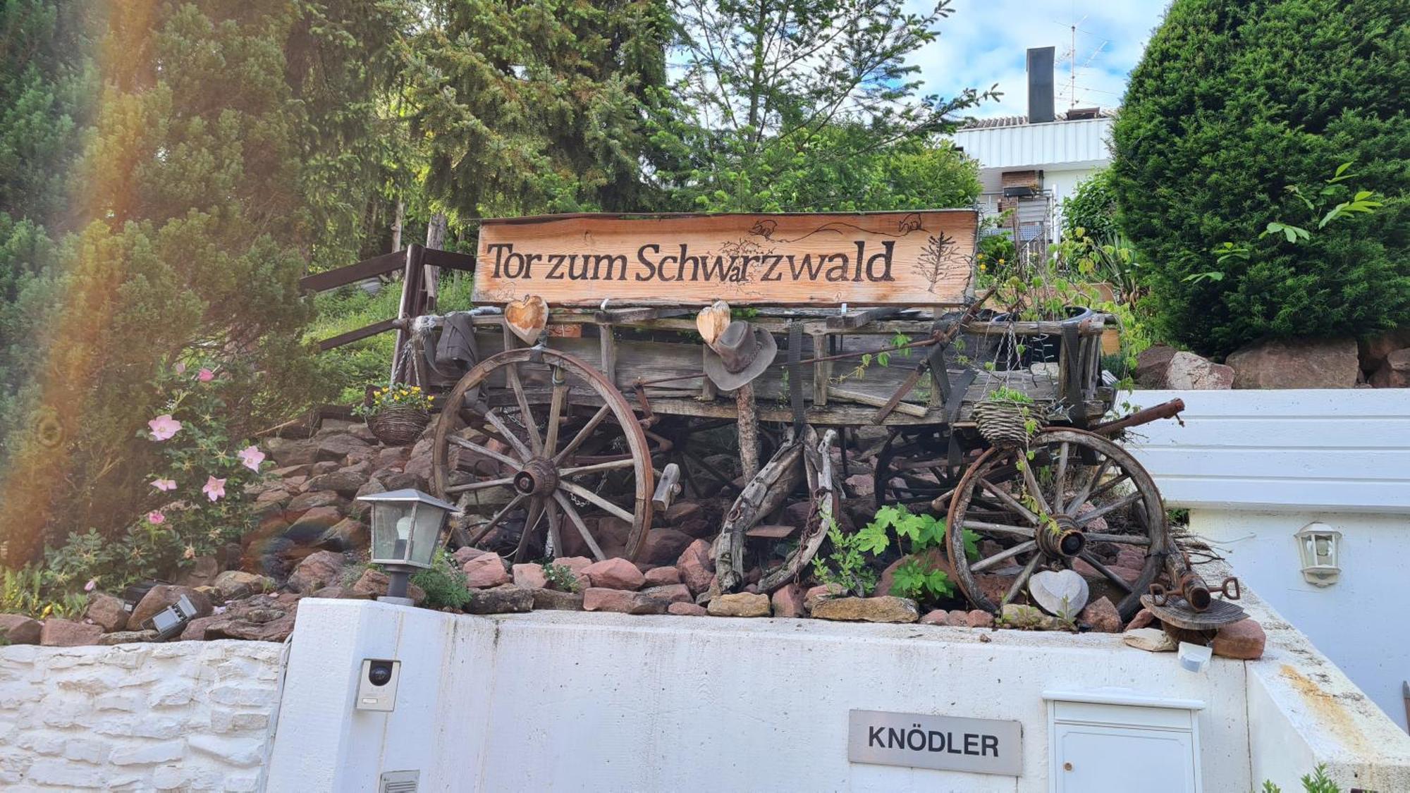 'Tor Zum Schwarzwald' Ferienwohnungen Mit Sauna Wildberg  エクステリア 写真
